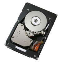 Ibm Express 1TB Hot-Swap SATA II (41Y8236)